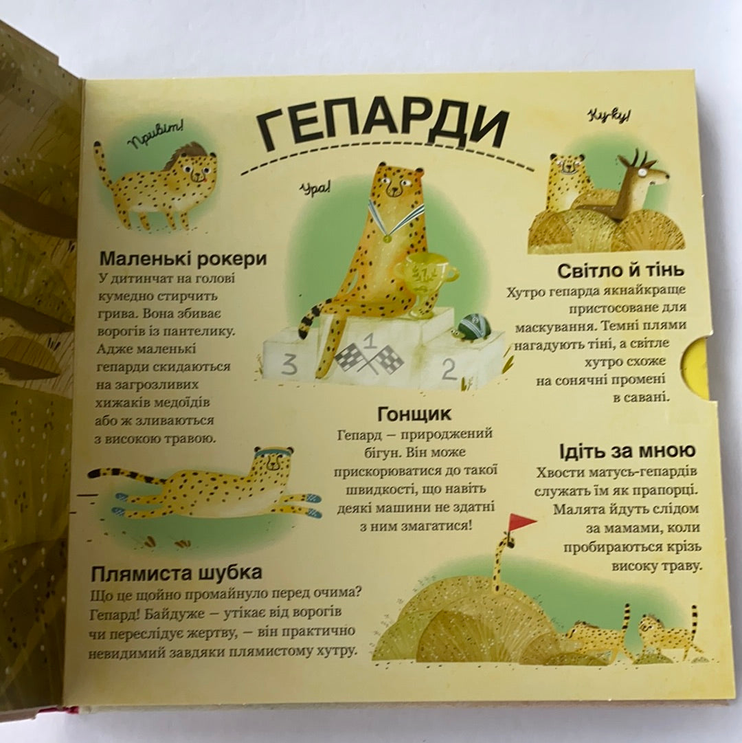 «Промені й тіні» – ЛЕСЯ БІЛИК